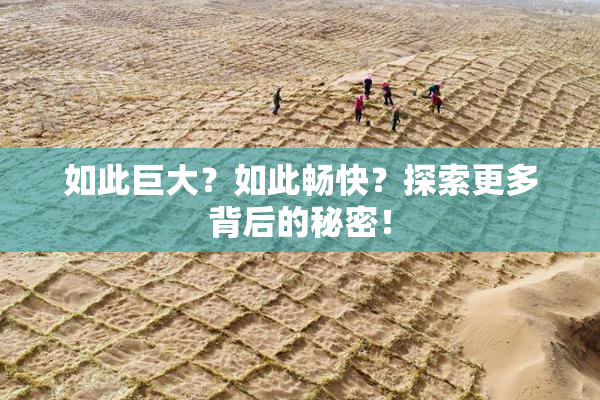如此巨大？如此畅快？探索更多背后的秘密！