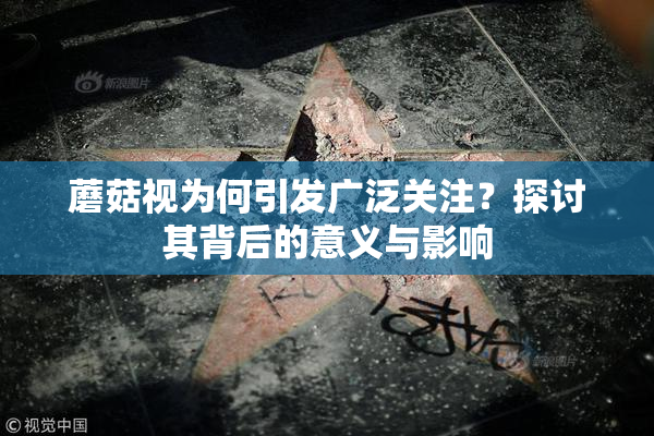 蘑菇视为何引发广泛关注？探讨其背后的意义与影响