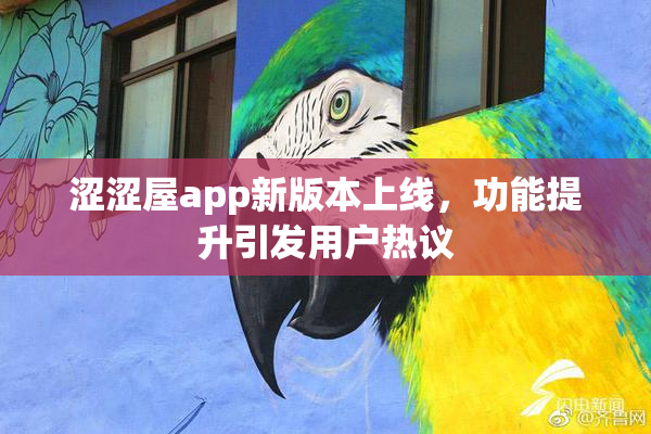 涩涩屋app新版本上线，功能提升引发用户热议