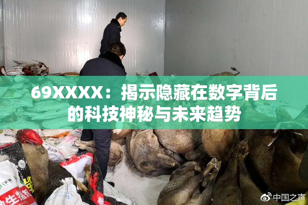69ΧΧΧΧ：揭示隐藏在数字背后的科技神秘与未来趋势