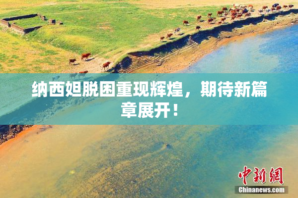 纳西妲脱困重现辉煌，期待新篇章展开！