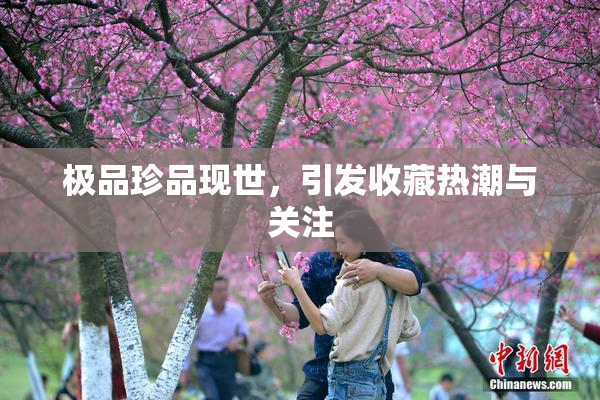 极品珍品现世，引发收藏热潮与关注