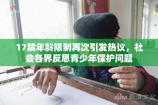 17禁年龄限制再次引发热议，社会各界反思青少年保护问题