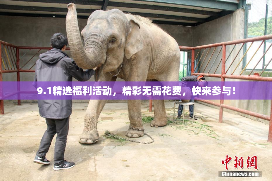 9.1精选福利活动，精彩无需花费，快来参与！