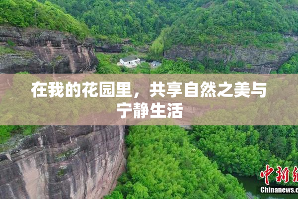 在我的花园里，共享自然之美与宁静生活