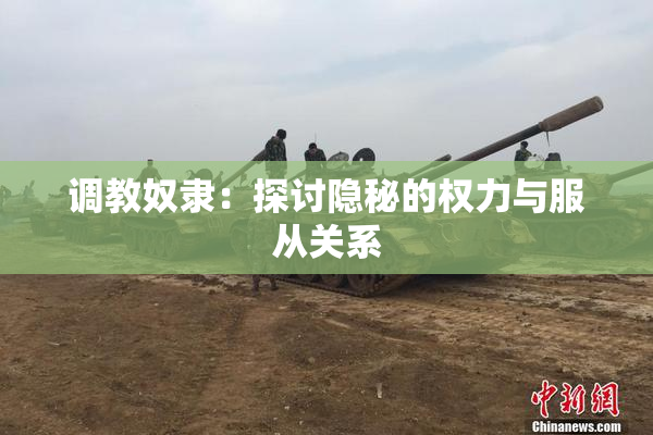 调教奴隶：探讨隐秘的权力与服从关系