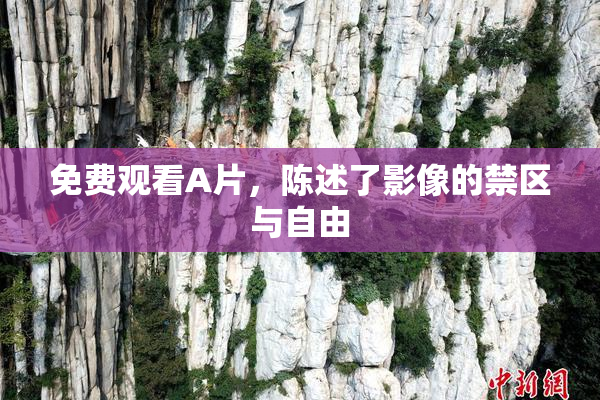 免费观看A片，陈述了影像的禁区与自由