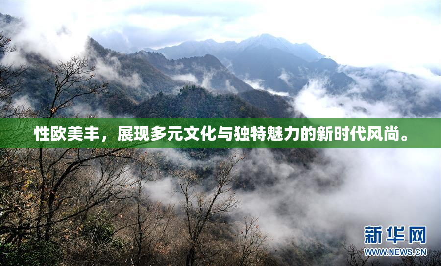 性欧美丰，展现多元文化与独特魅力的新时代风尚。