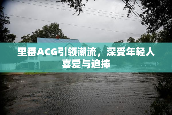 里番ACG引领潮流，深受年轻人喜爱与追捧