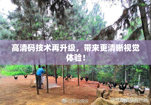 高清码技术再升级，带来更清晰视觉体验！