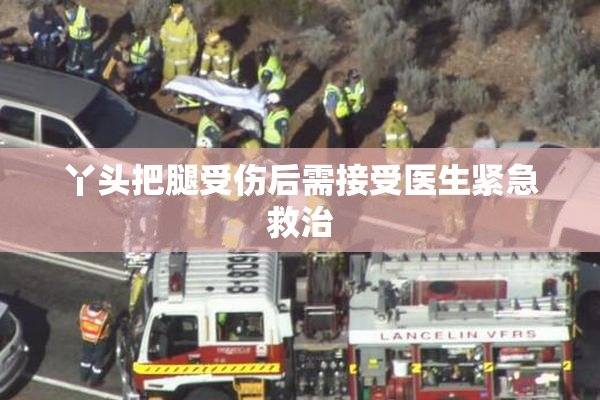 丫头把腿受伤后需接受医生紧急救治
