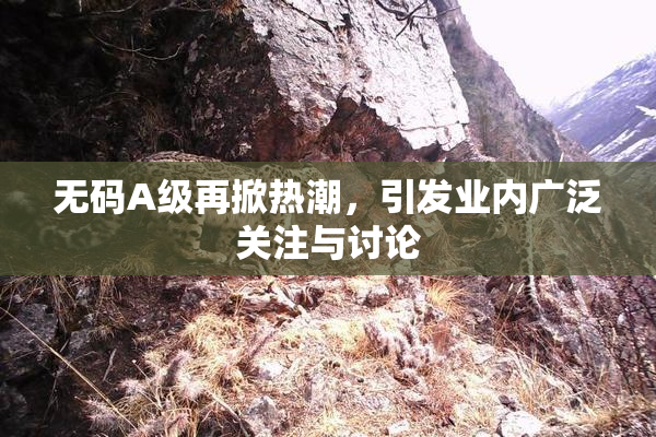 无码A级再掀热潮，引发业内广泛关注与讨论