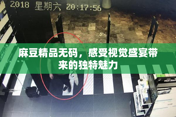 麻豆精品无码，感受视觉盛宴带来的独特魅力