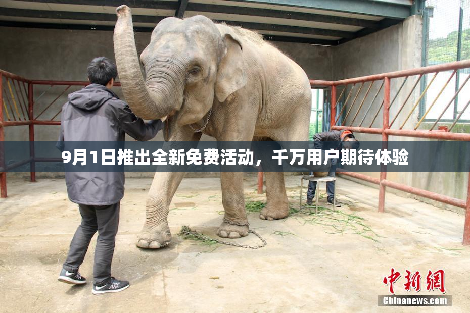 9月1日推出全新免费活动，千万用户期待体验