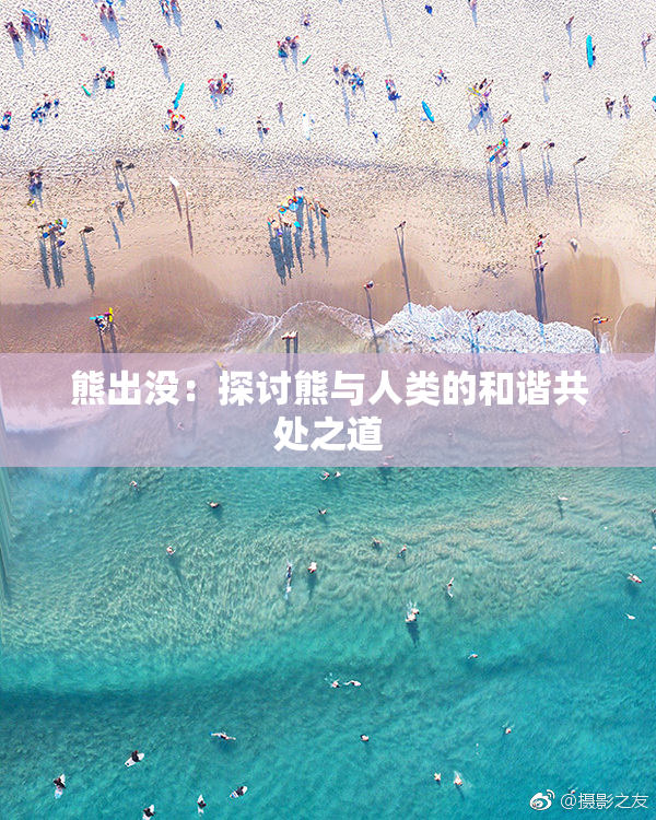 熊出没：探讨熊与人类的和谐共处之道