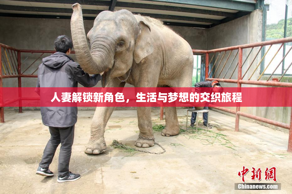 人妻解锁新角色，生活与梦想的交织旅程