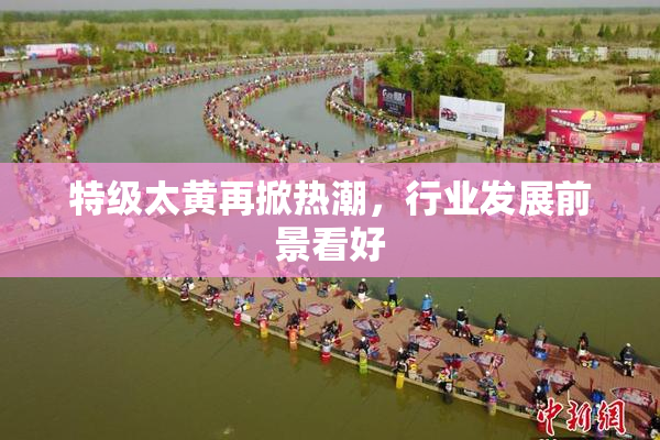 特级太黄再掀热潮，行业发展前景看好