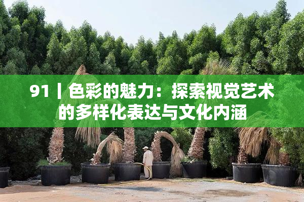 91丨色彩的魅力：探索视觉艺术的多样化表达与文化内涵