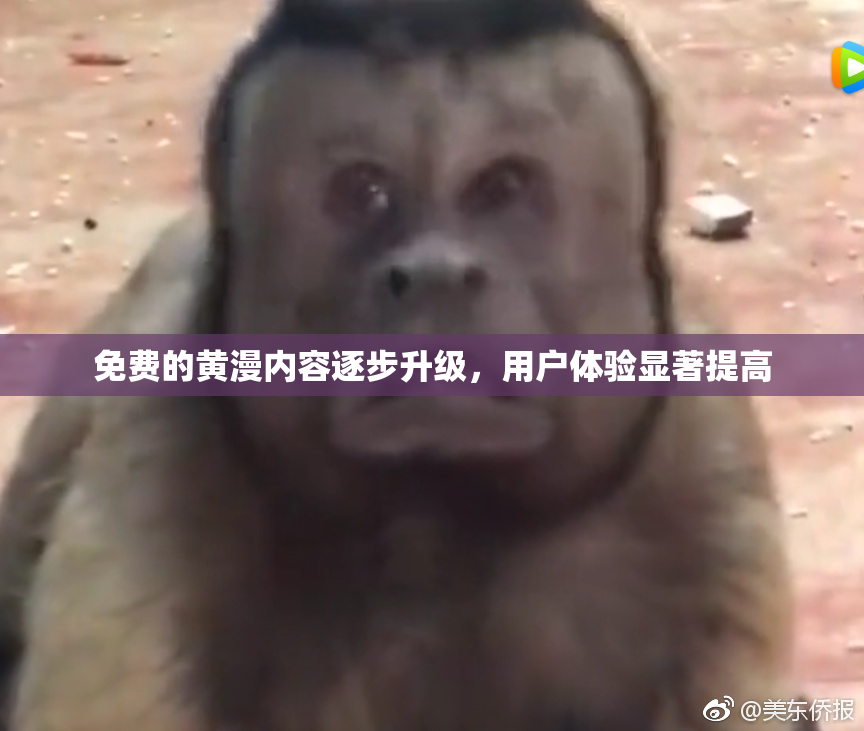 免费的黄漫内容逐步升级，用户体验显著提高