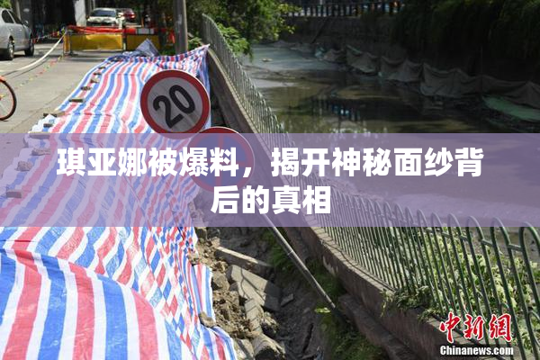 琪亚娜被爆料，揭开神秘面纱背后的真相