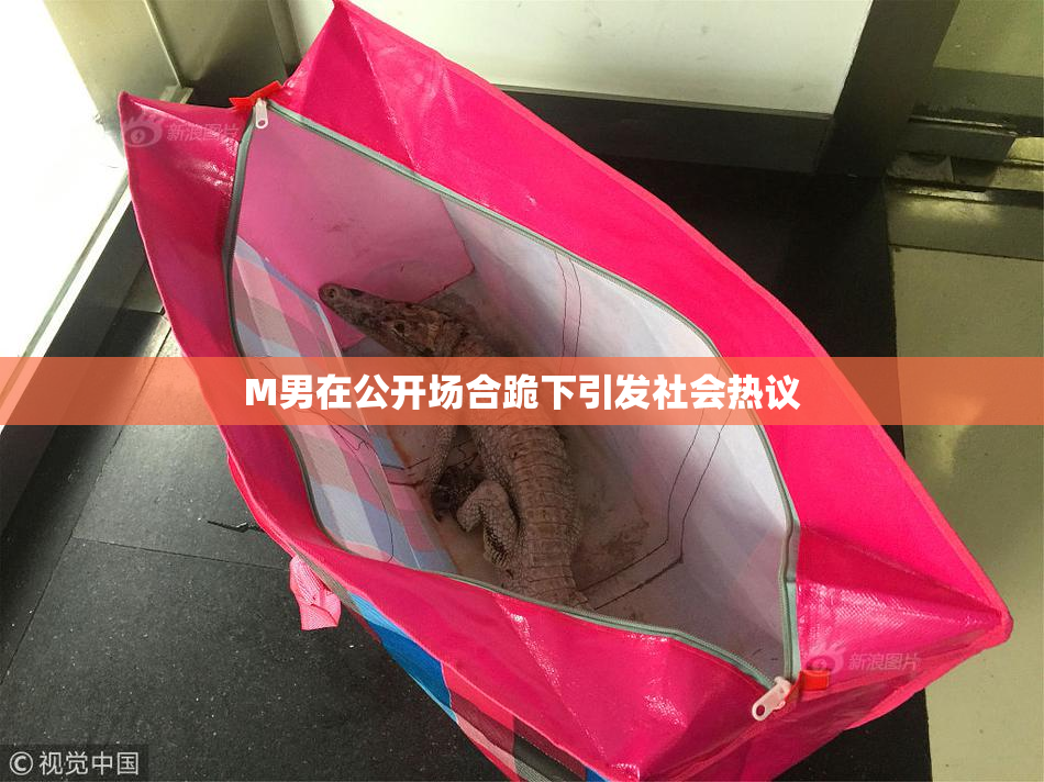 M男在公开场合跪下引发社会热议