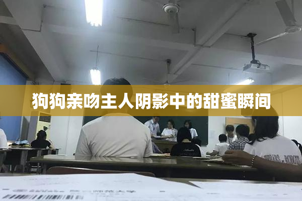 狗狗亲吻主人阴影中的甜蜜瞬间