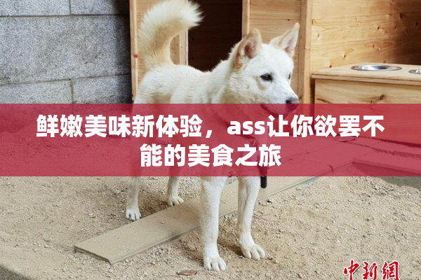 鲜嫩美味新体验，ass让你欲罢不能的美食之旅