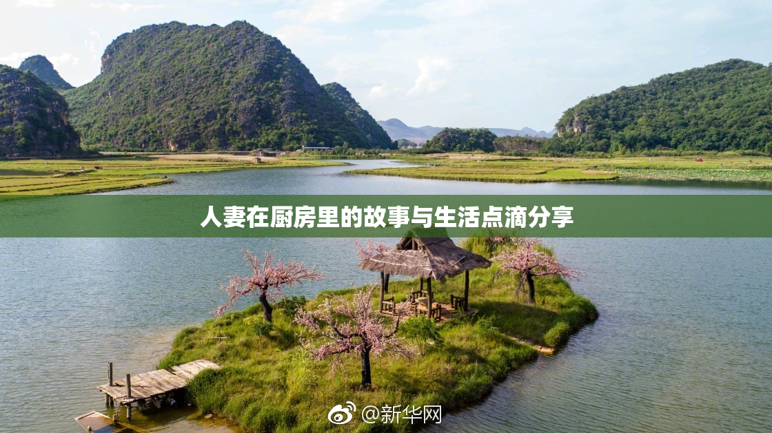 人妻在厨房里的故事与生活点滴分享