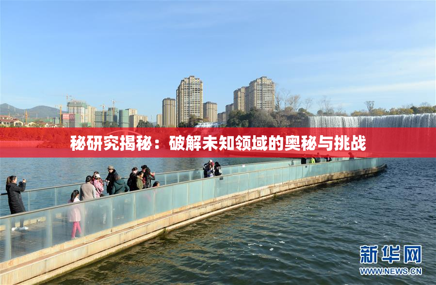 秘研究揭秘：破解未知领域的奥秘与挑战