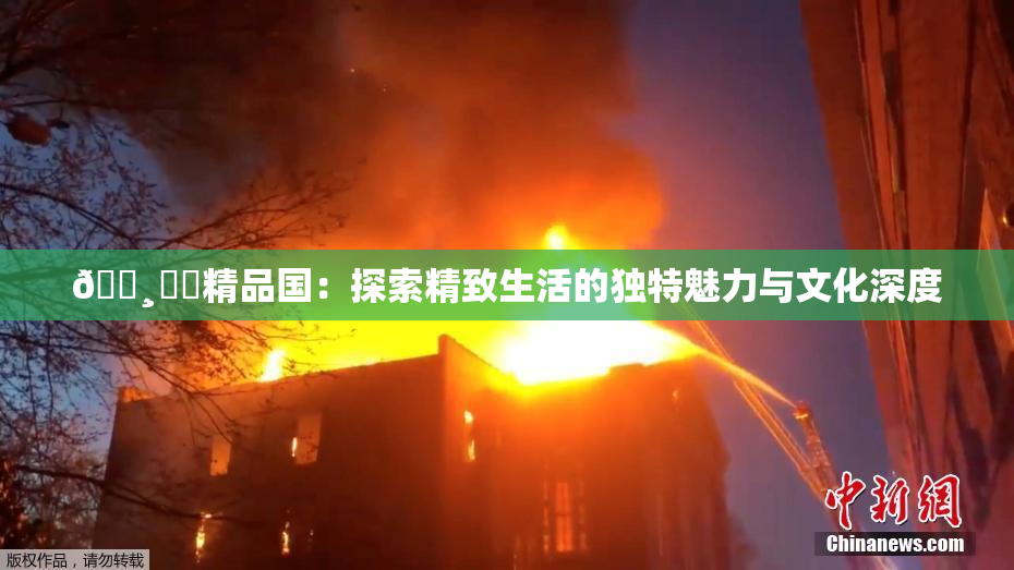 🌸‌✿精品国：探索精致生活的独特魅力与文化深度