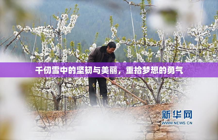 千仞雪中的坚韧与美丽，重拾梦想的勇气