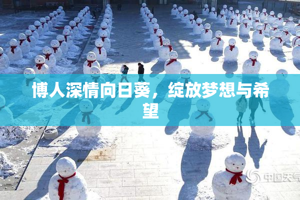 博人深情向日葵，绽放梦想与希望
