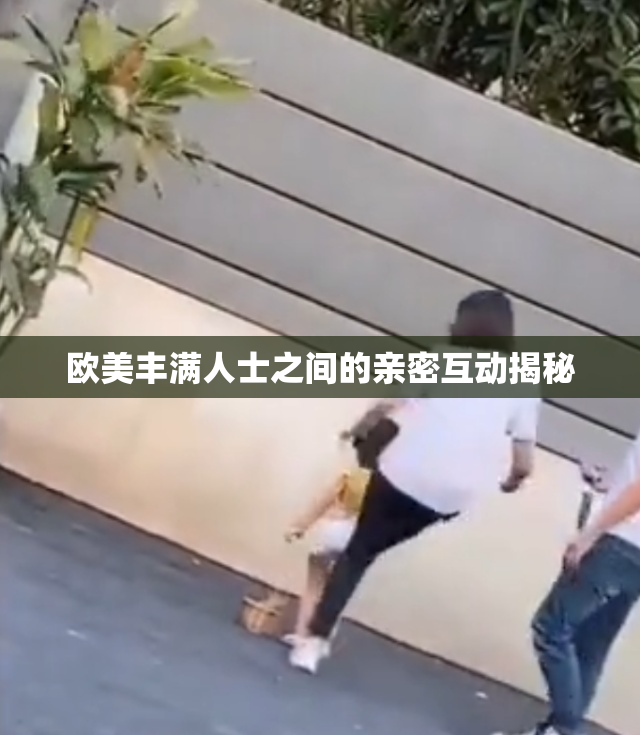 欧美丰满人士之间的亲密互动揭秘