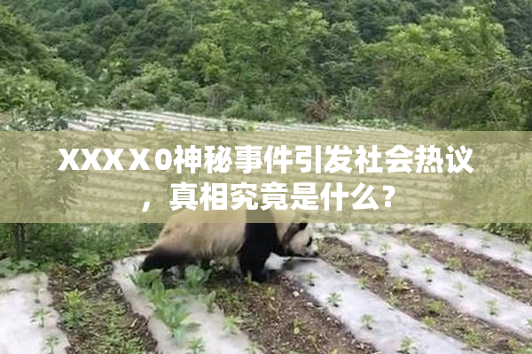 XXXⅩ0神秘事件引发社会热议，真相究竟是什么？