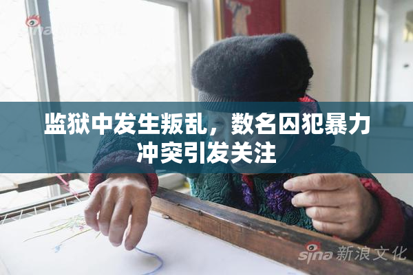 监狱中发生叛乱，数名囚犯暴力冲突引发关注