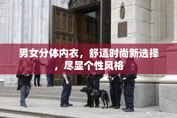 男女分体内衣，舒适时尚新选择，尽显个性风格