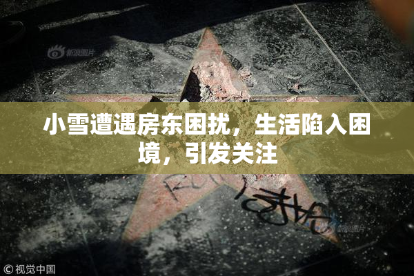 小雪遭遇房东困扰，生活陷入困境，引发关注