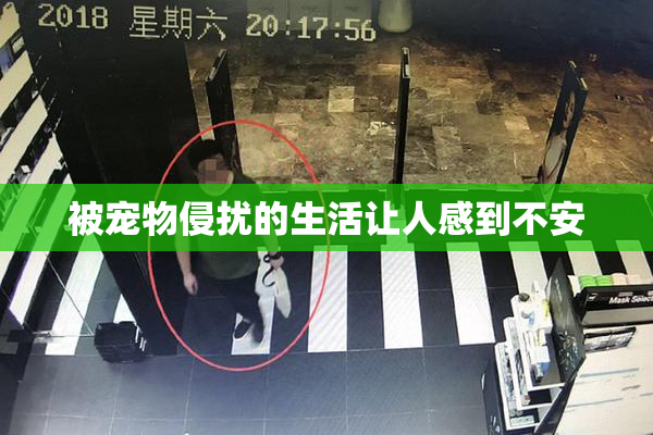 被宠物侵扰的生活让人感到不安