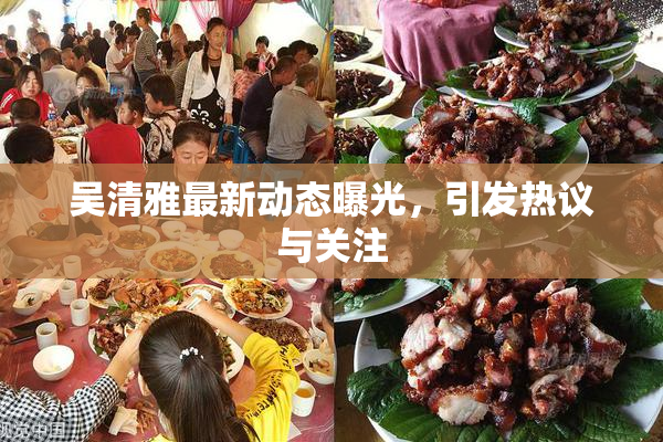 吴清雅最新动态曝光，引发热议与关注