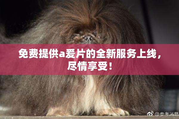 免费提供a爰片的全新服务上线，尽情享受！