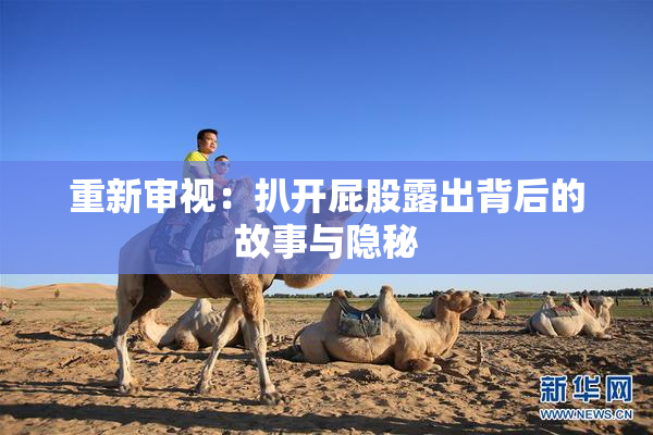 重新审视：扒开屁股露出背后的故事与隐秘