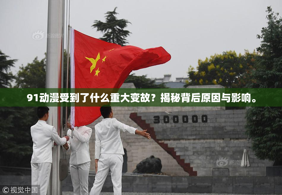 91动漫受到了什么重大变故？揭秘背后原因与影响。