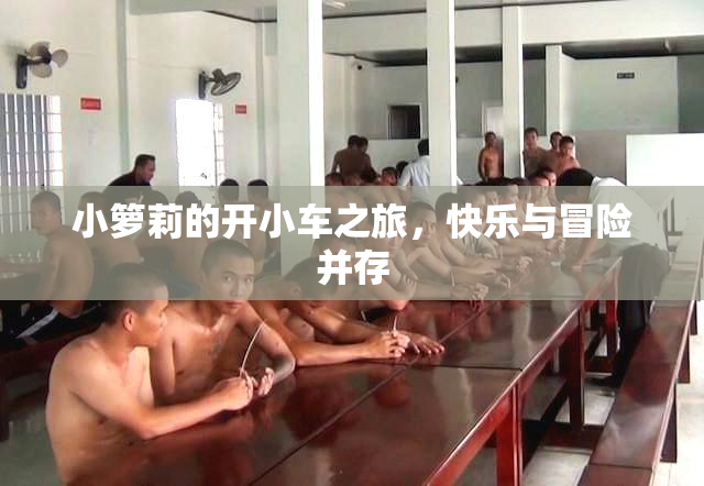 小箩莉的开小车之旅，快乐与冒险并存