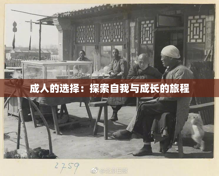 成人的选择：探索自我与成长的旅程