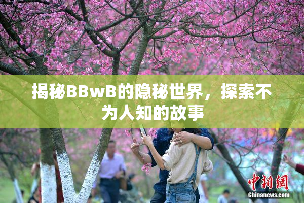 揭秘BBwB的隐秘世界，探索不为人知的故事