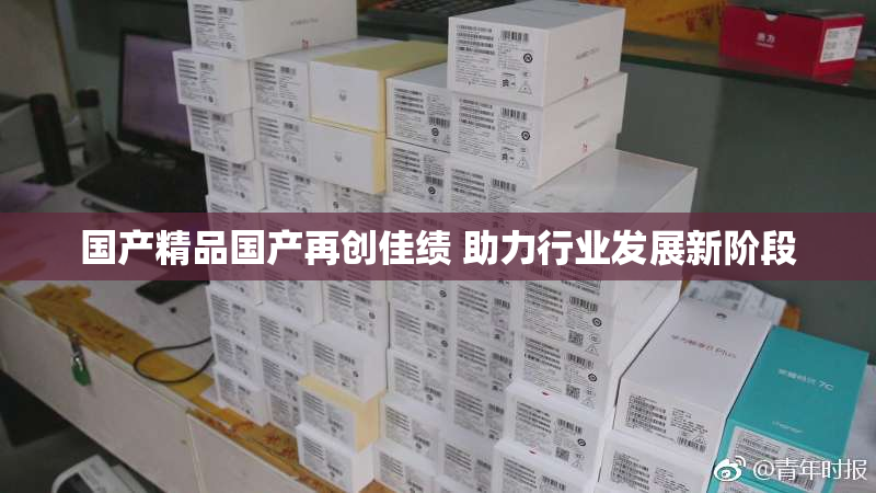 国产精品国产再创佳绩 助力行业发展新阶段