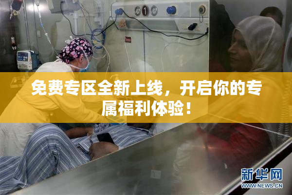 免费专区全新上线，开启你的专属福利体验！