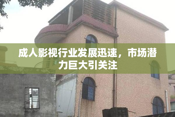 成人影视行业发展迅速，市场潜力巨大引关注