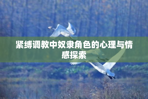 紧缚调教中奴隶角色的心理与情感探索