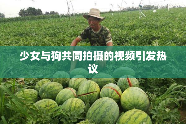 少女与狗共同拍摄的视频引发热议